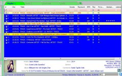 2016-09-11 14_54_26-TeamViewer Panel (ridotto a icona).jpg